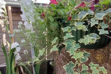 3 bed house, Liddle Court, Arthurs Hill, Newcastle, NE46PD - Image 6